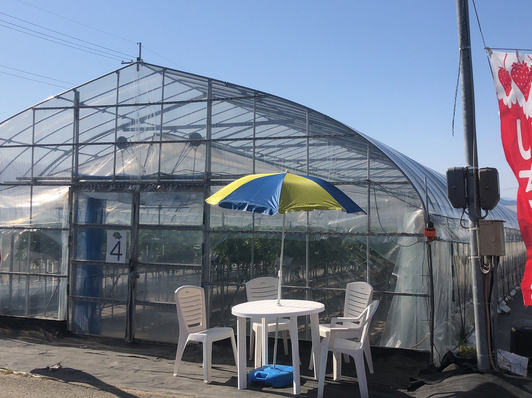 Takano Strawberry Farm-龙王町必去景点