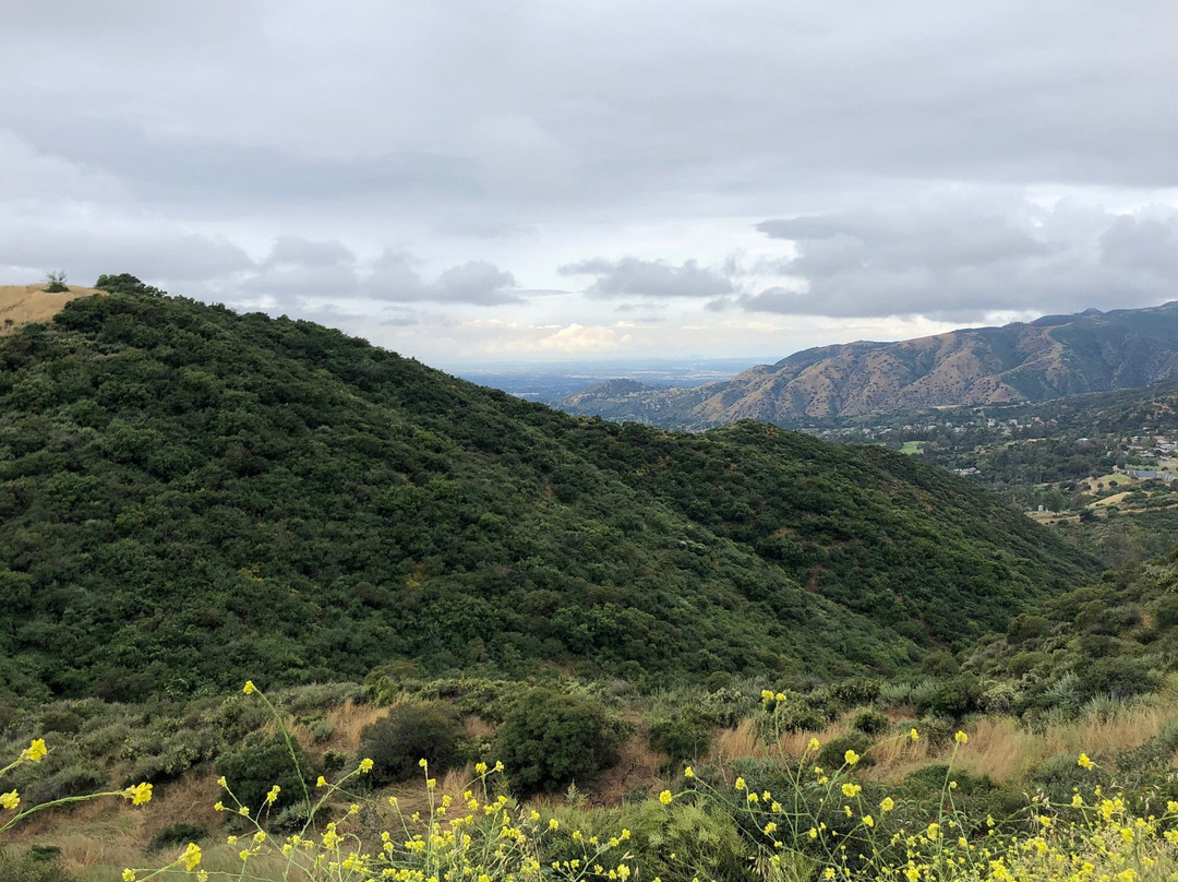 Claremont Hills Wilderness Park景点图片