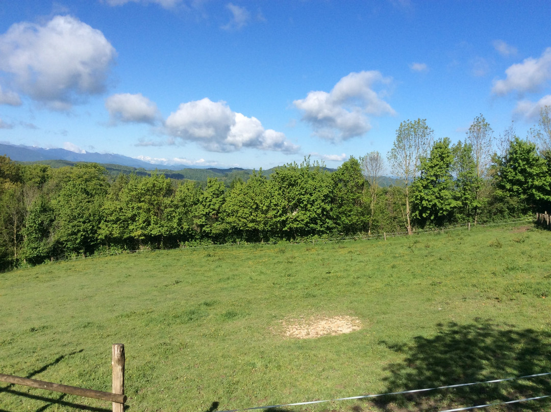哈拉斯皮卡德杜圣住宿加早餐旅馆主图