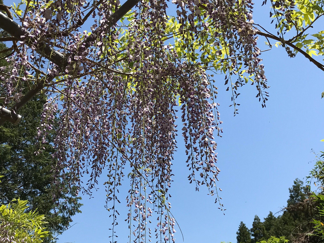 Miyama no Sato Shinrin Park-日高川町必去景点