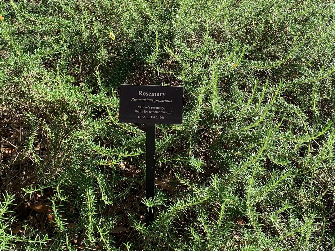 Wynton M. Blount Cultural Park-蒙哥马利必去景点