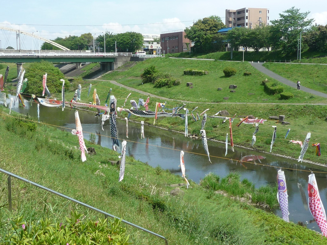 Tone Canal-流山市必去景点