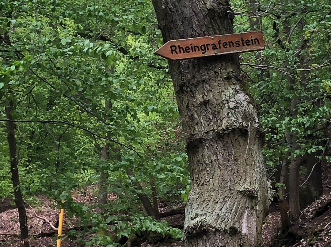 Rheingrafenstein景点图片
