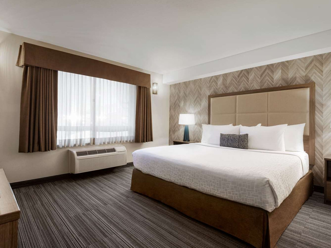 Canalta Airdrie主图