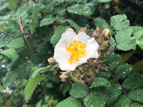 洋山深水港-上海市必去景点