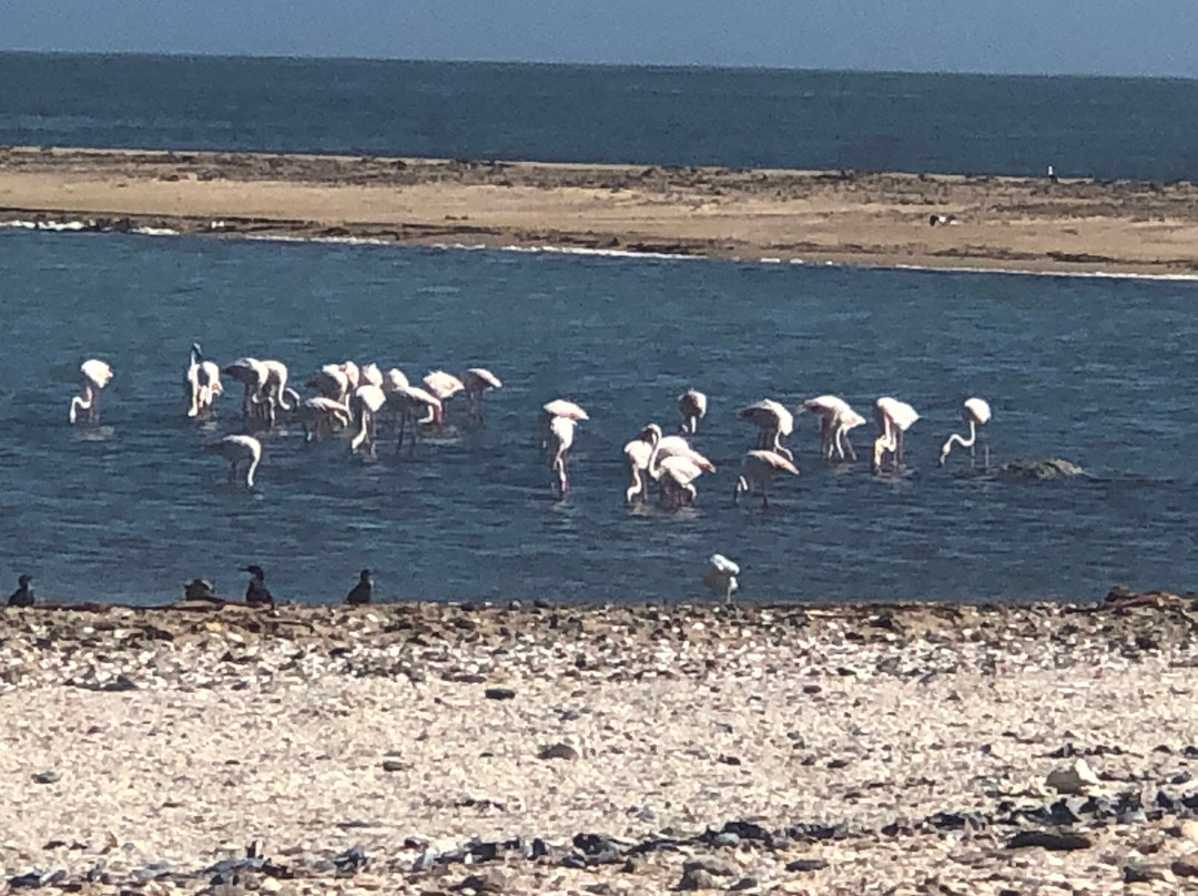 Desert Magic Tours Namibia-斯瓦科普蒙德必去景点