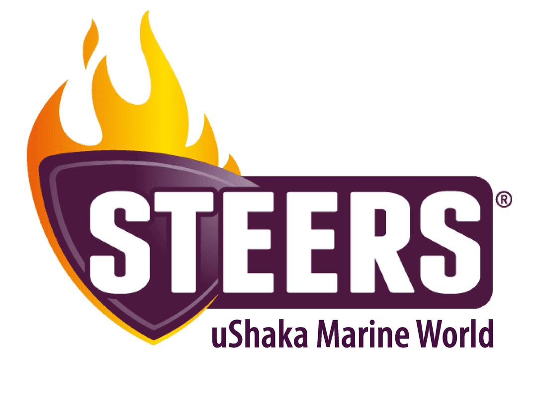 Steers