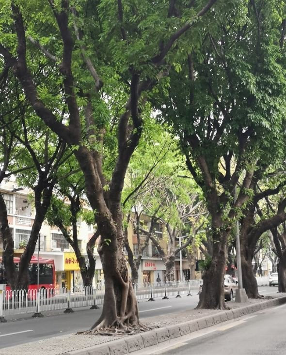 江南大道北婚纱街-广州市必去景点