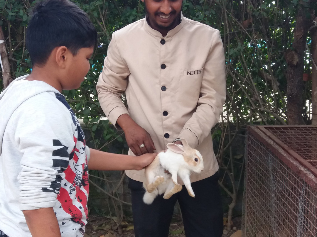 Signature Corbett主图