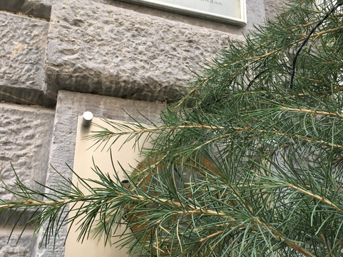 安缇茜宫殿世界小型豪华酒店主图