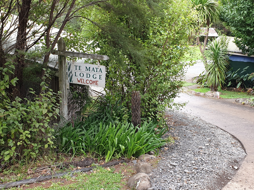 Te Mata Lodge主图