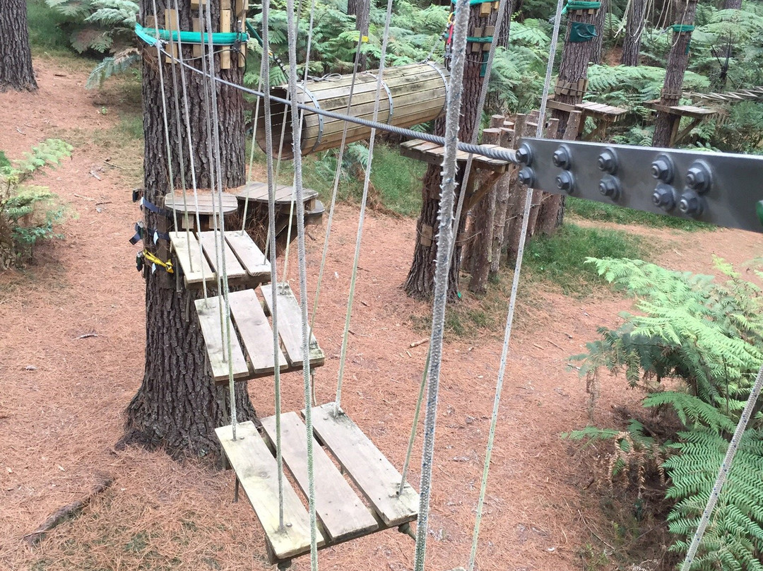 Adventure Forest景点图片