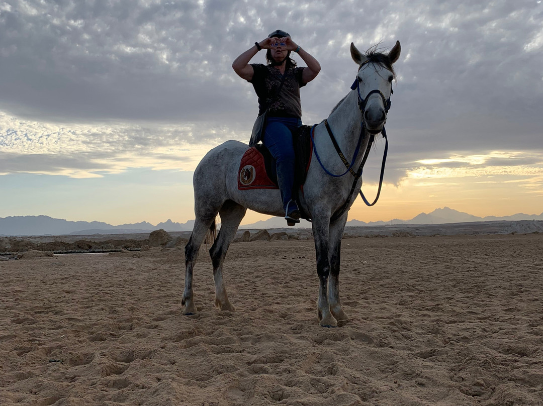 Hurghada Equestrian景点图片