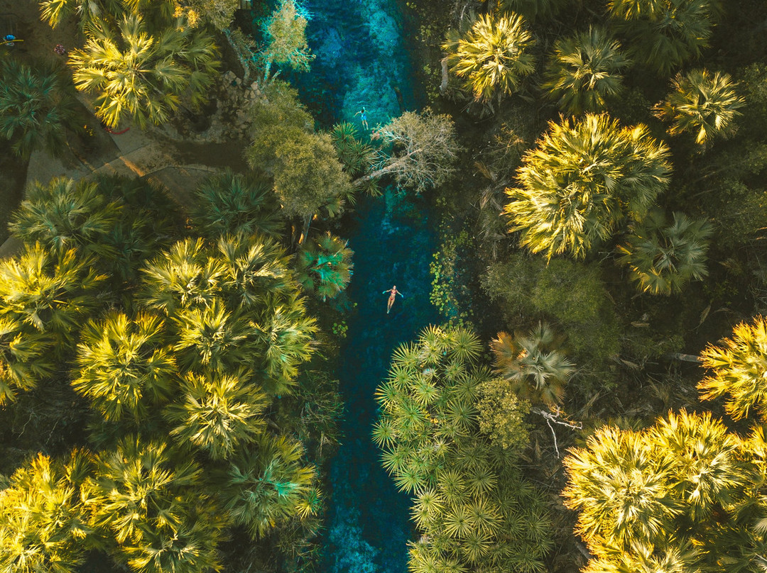 Bitter Springs-Mataranka必去景点