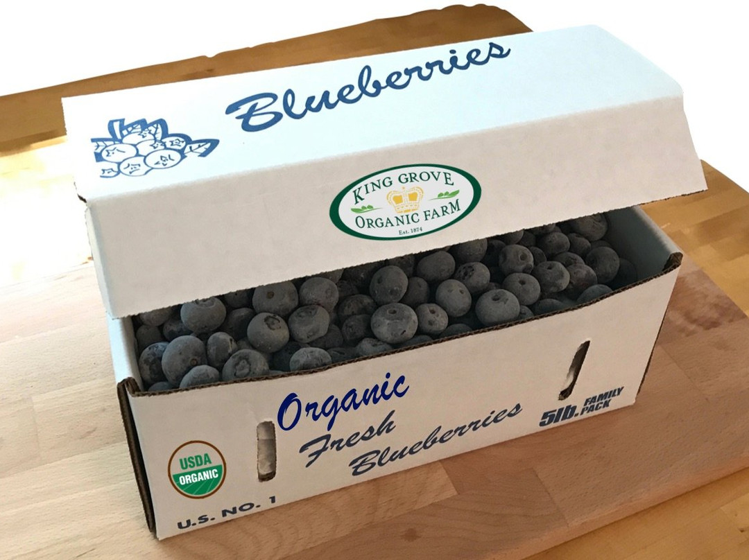 King Grove Organic Farm-Eustis必去景点