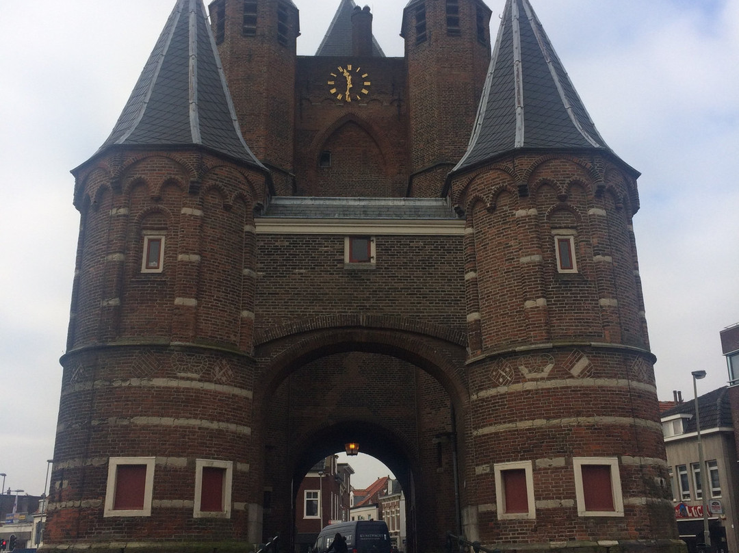 Bike Tours Haarlem景点图片