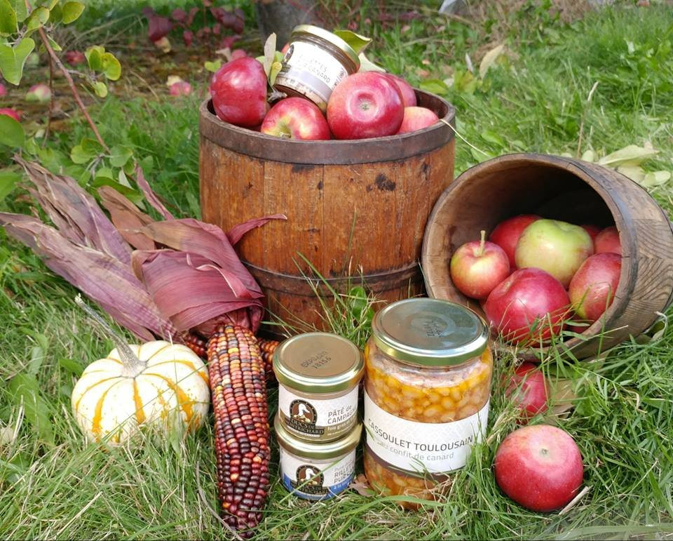 Ducs de Montrichard-Orford必去景点