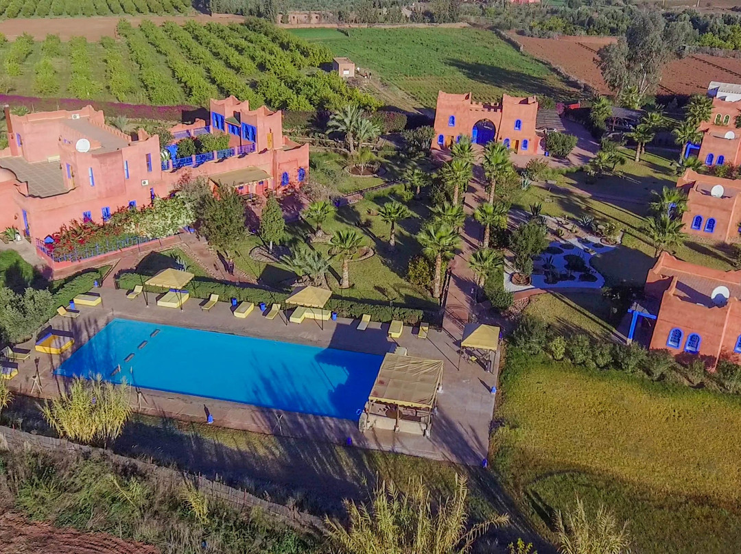 Riad Beloiseau主图