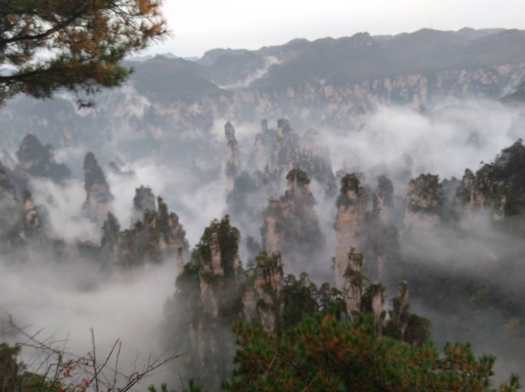 Zhangjiajie Kangtai景点图片