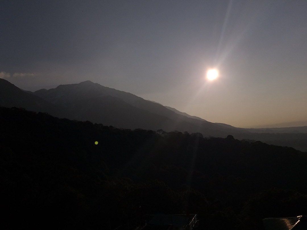 Regenta Resort, Exotica Dharamshala on Hilltop主图