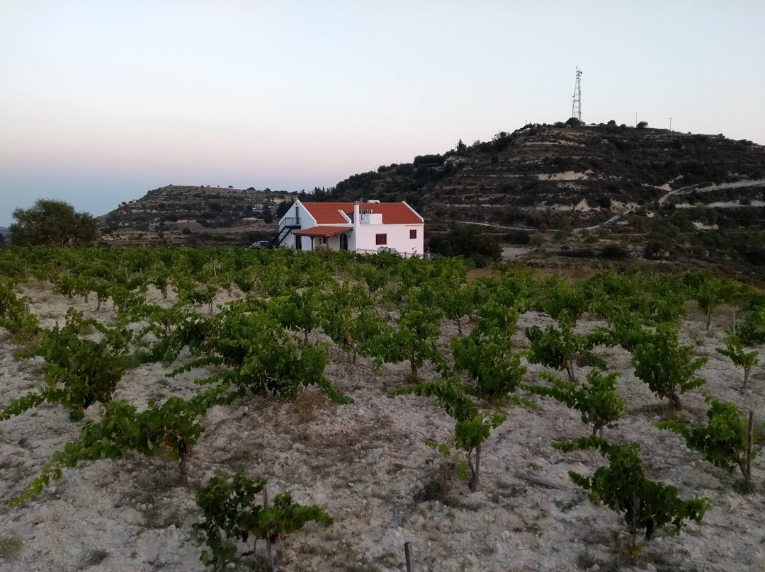 Monolithos Winery景点图片