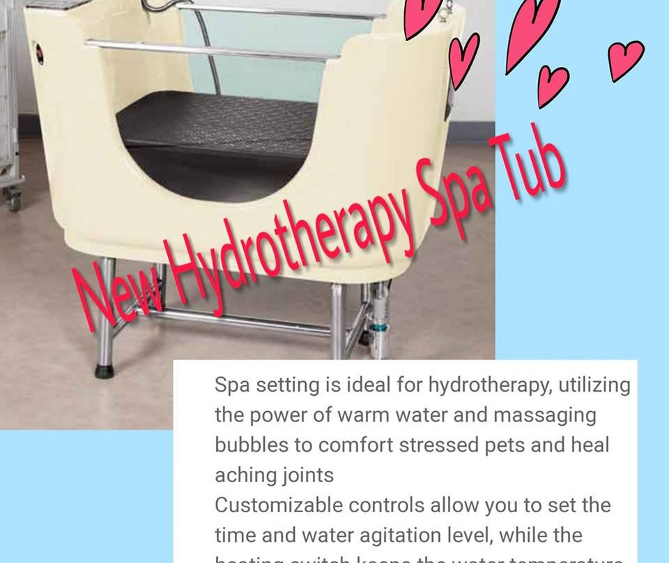 Lou's Place for Pets-Prestonsburg必去景点