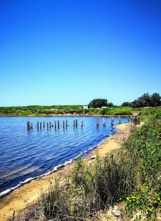 Dee Why Lagoon景点图片