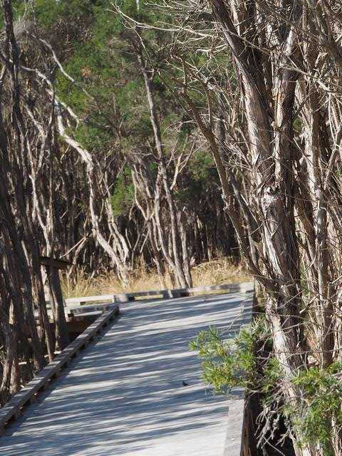 Scenic Estate Conservation Reserve-菲利普岛必去景点