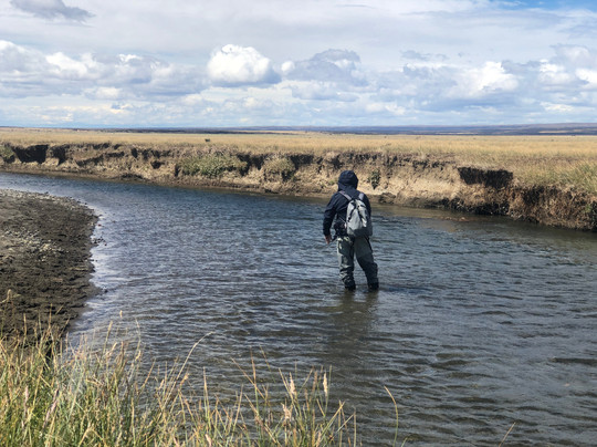 Patagonia Line-纳塔莱斯港必去景点