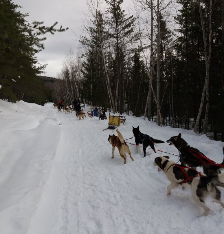 Descente Malbaie-Saint Aime Des Lacs必去景点