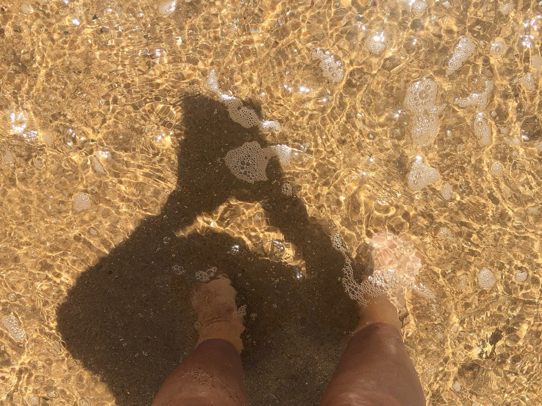 Tinley Manor Hil's B&B主图