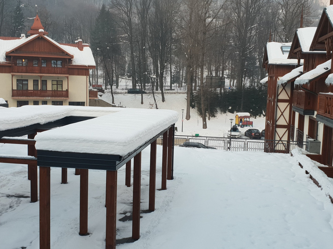 Szczawnica Park Resort & Spa主图