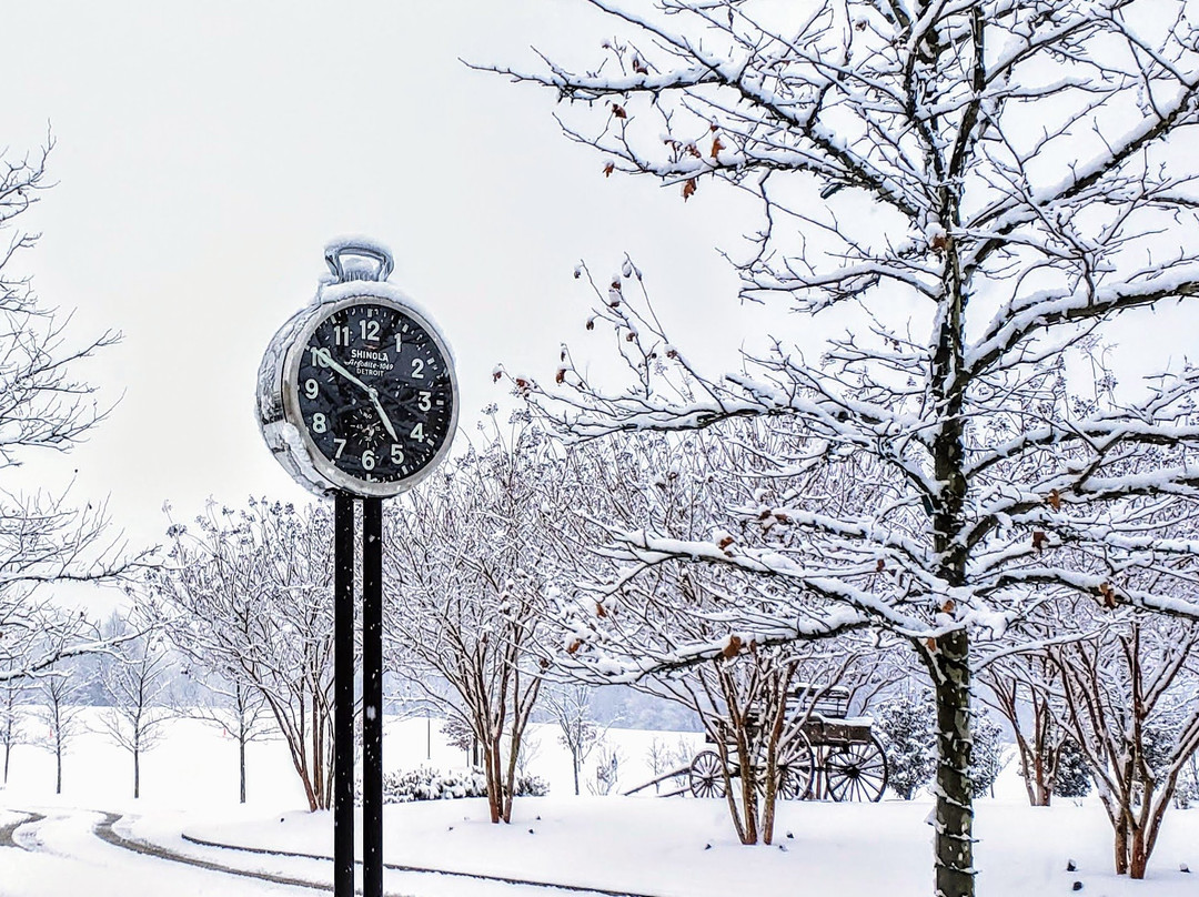 Salamander Middleburg主图