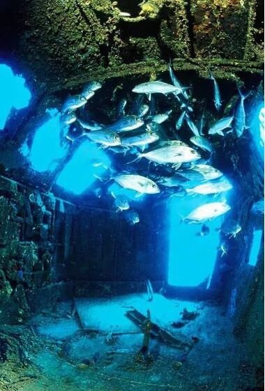 Aquanaut-波德戈里察必去景点