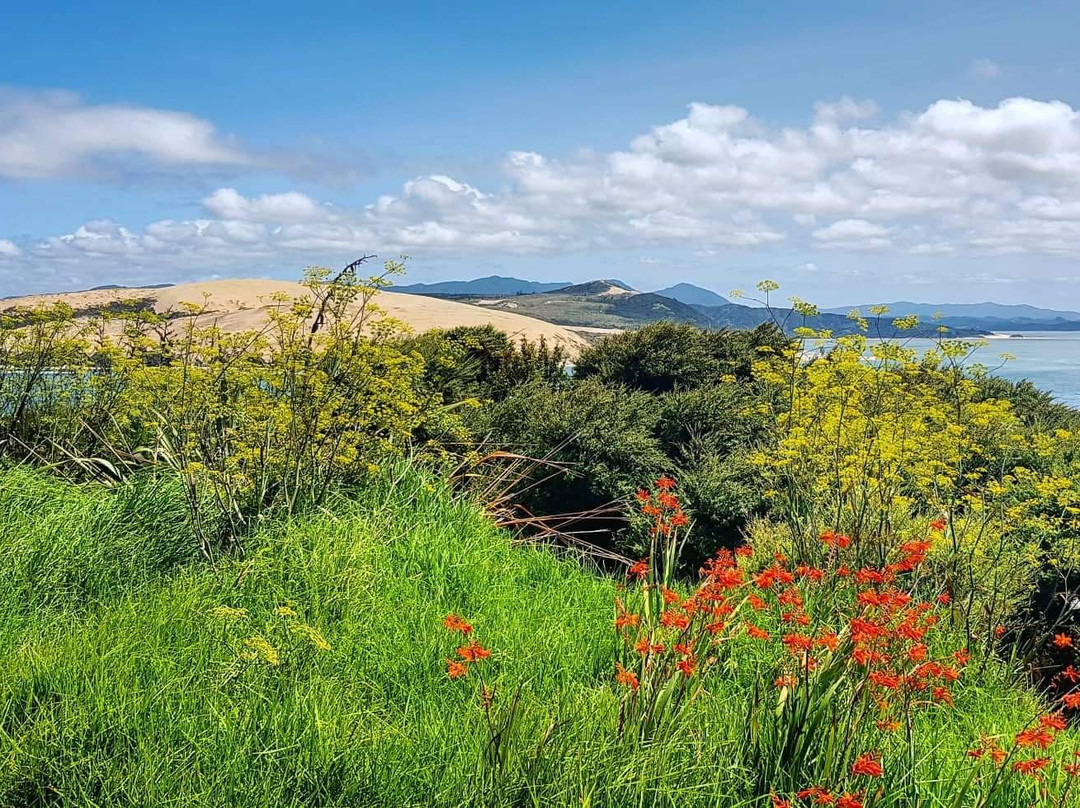 Pakia Hill Lookout景点图片