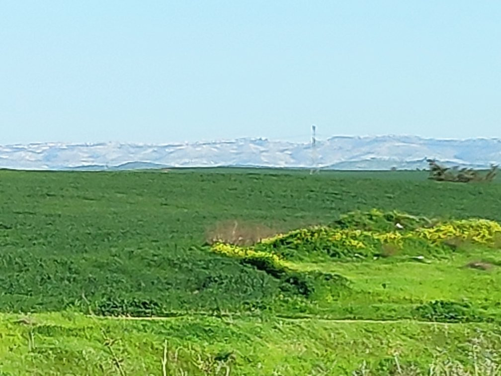 南部区旅游攻略图片