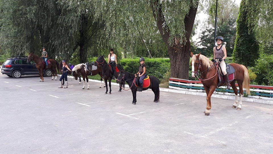 Idilliya Stable-Lesovichi必去景点