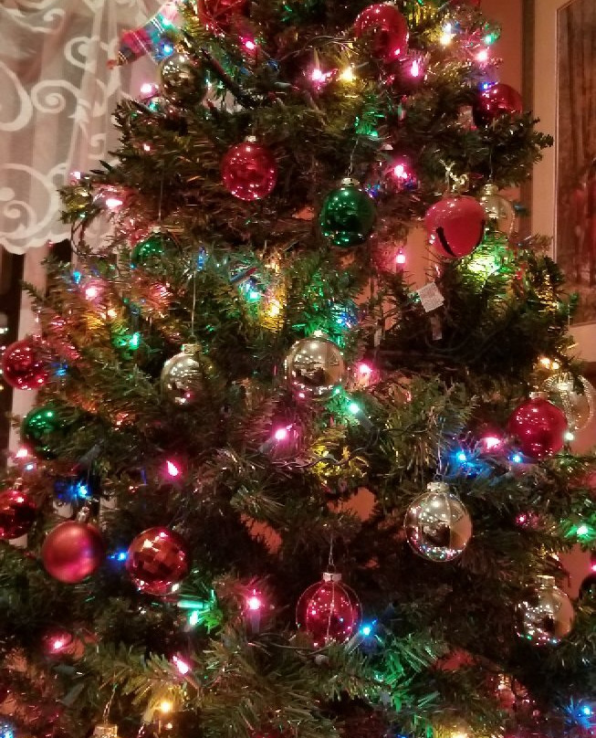 Foggy Mountain Lodge主图