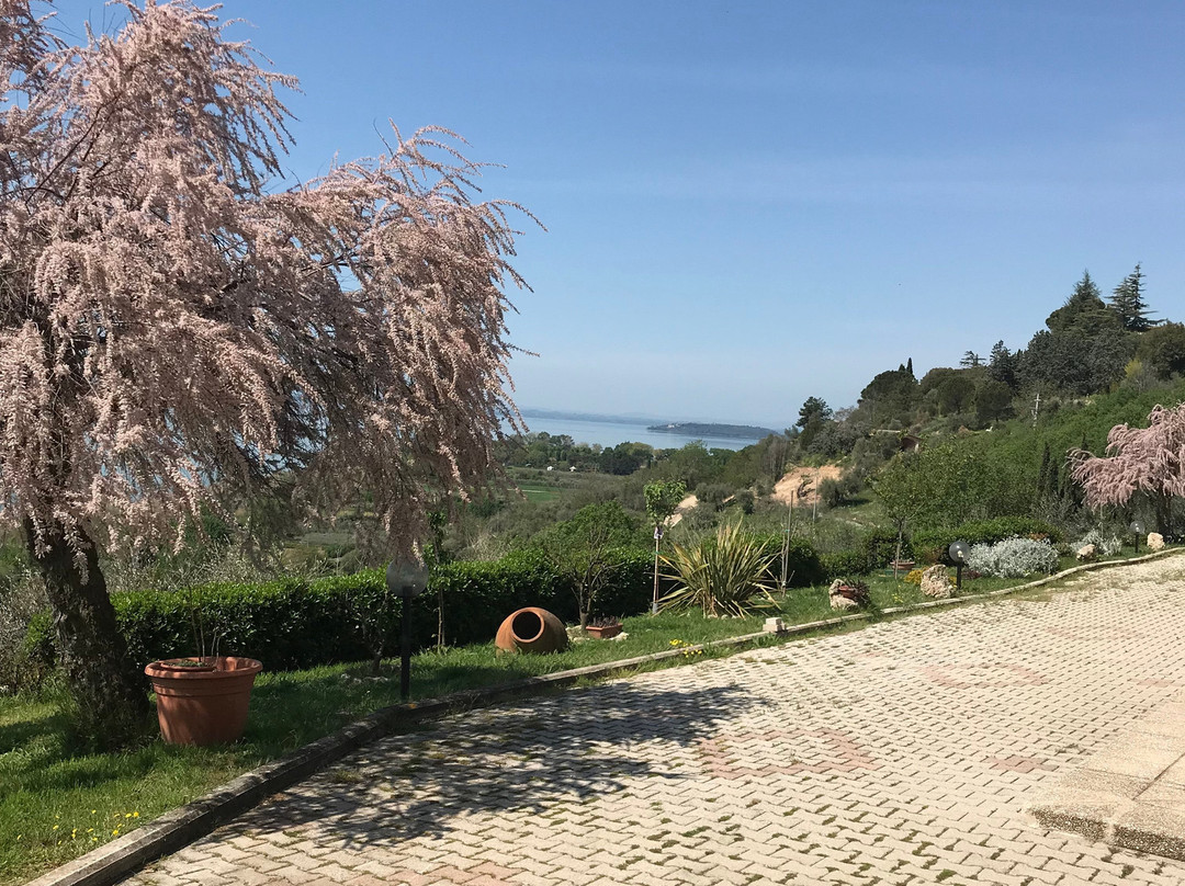 B&B Torre Del Lago Trasimeno主图