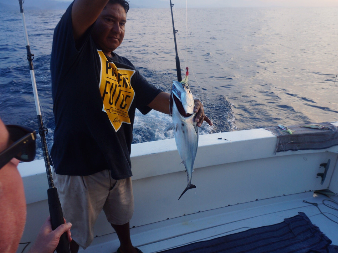 Fishing Fleets-印坦巴/芝华塔尼欧必去景点