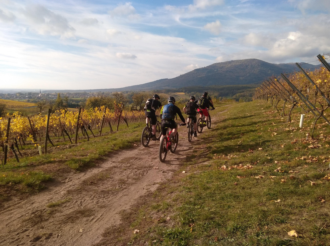 Alsace Freeride Academy景点图片