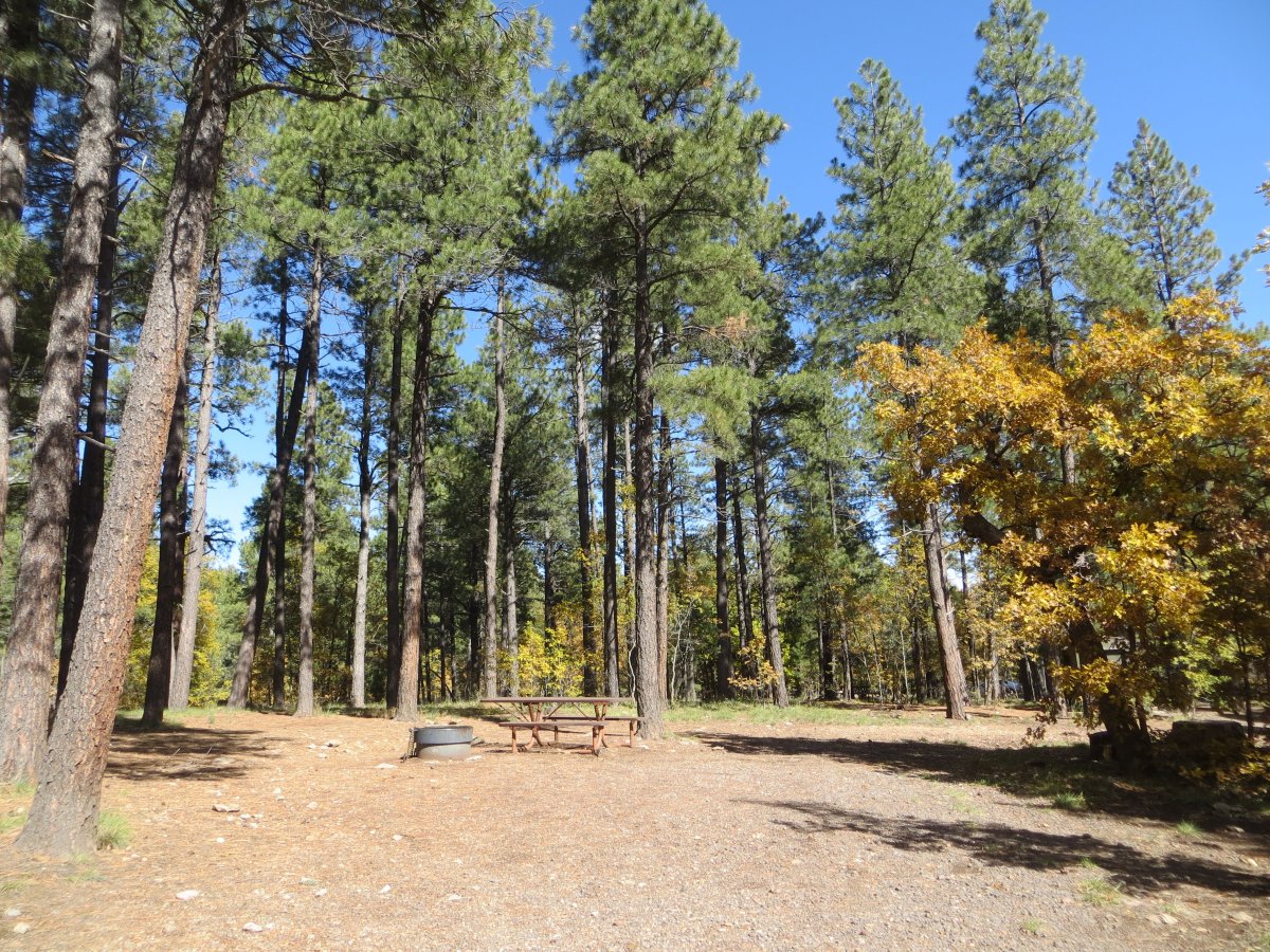 Dairy Springs Campground-官方