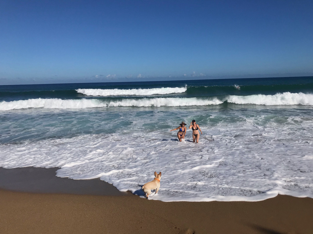 Las Palmas Inn主图