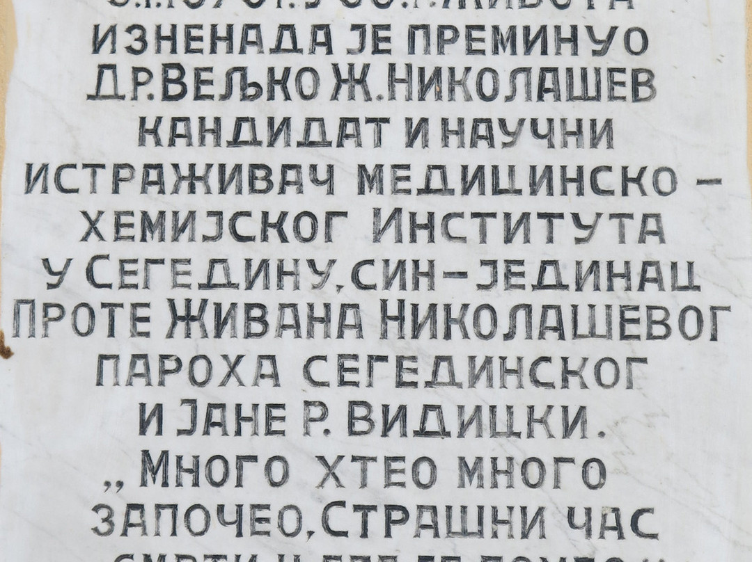 Saint Nicholas Serbian Orthodox Church of Szeged景点图片