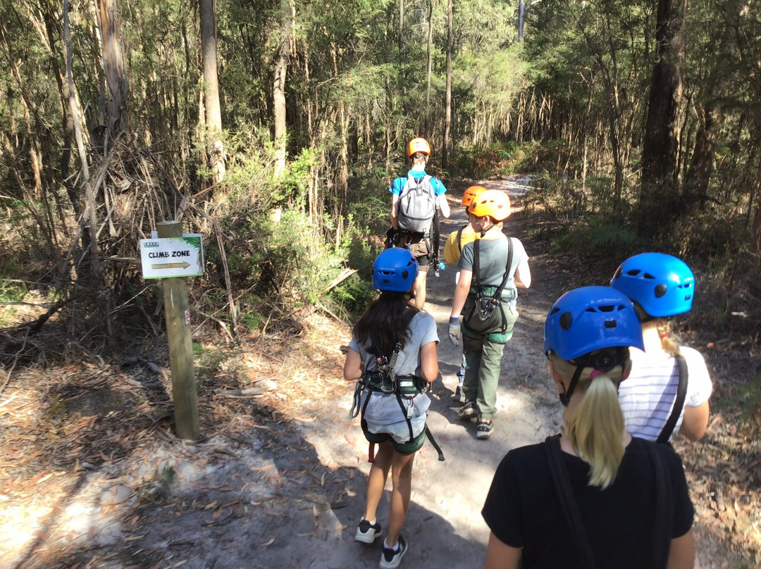 Treetops Adventure Yeodene-Yeodene必去景点