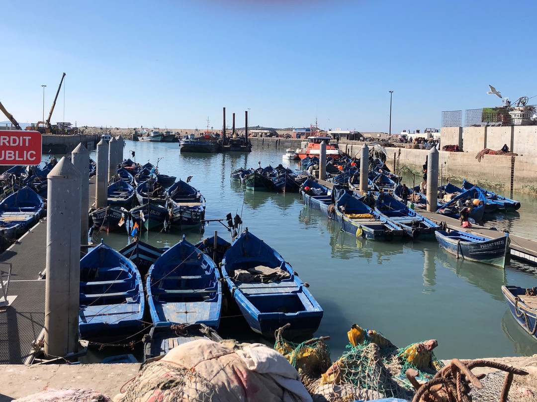 Excursions Essaouira - Day Tours景点图片