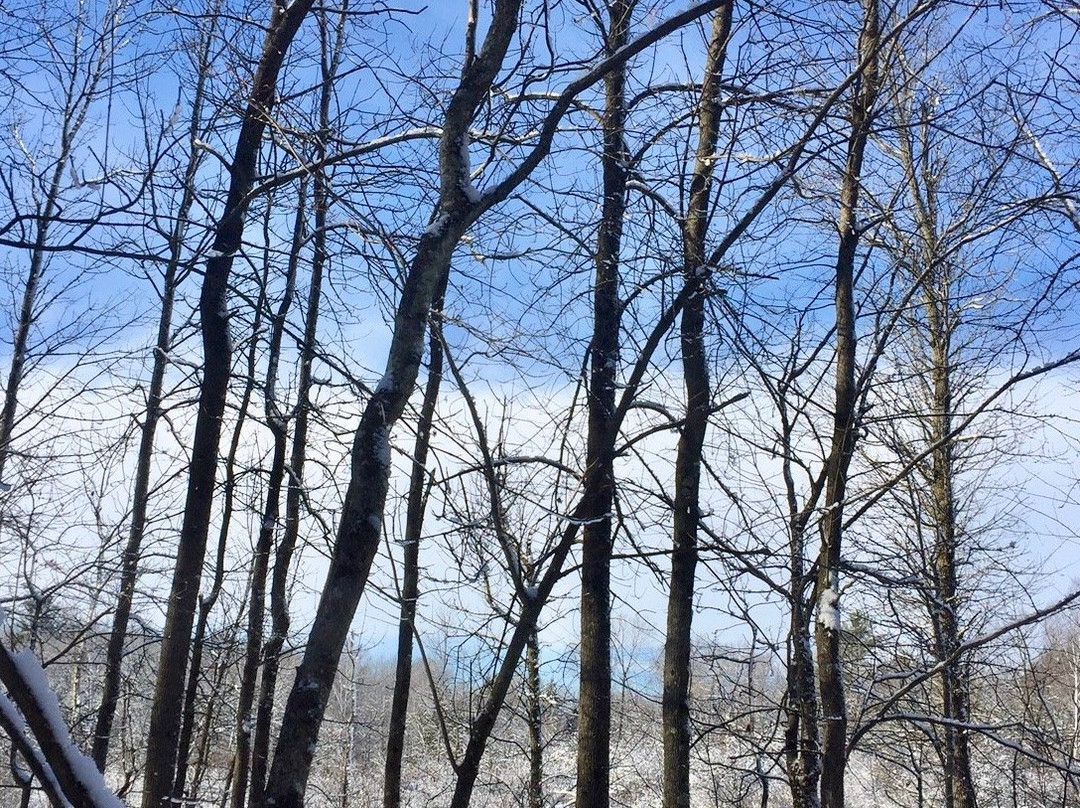 Woodland Dunes Nature Center-Two Rivers必去景点