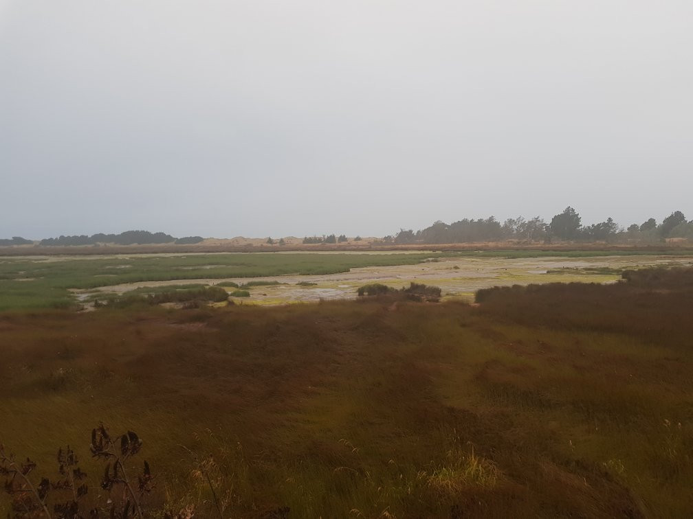 斯宾塞公园-基督城必去景点