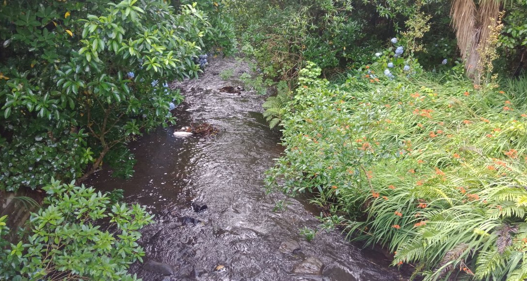 Huatoki Walkway-新普利默斯必去景点
