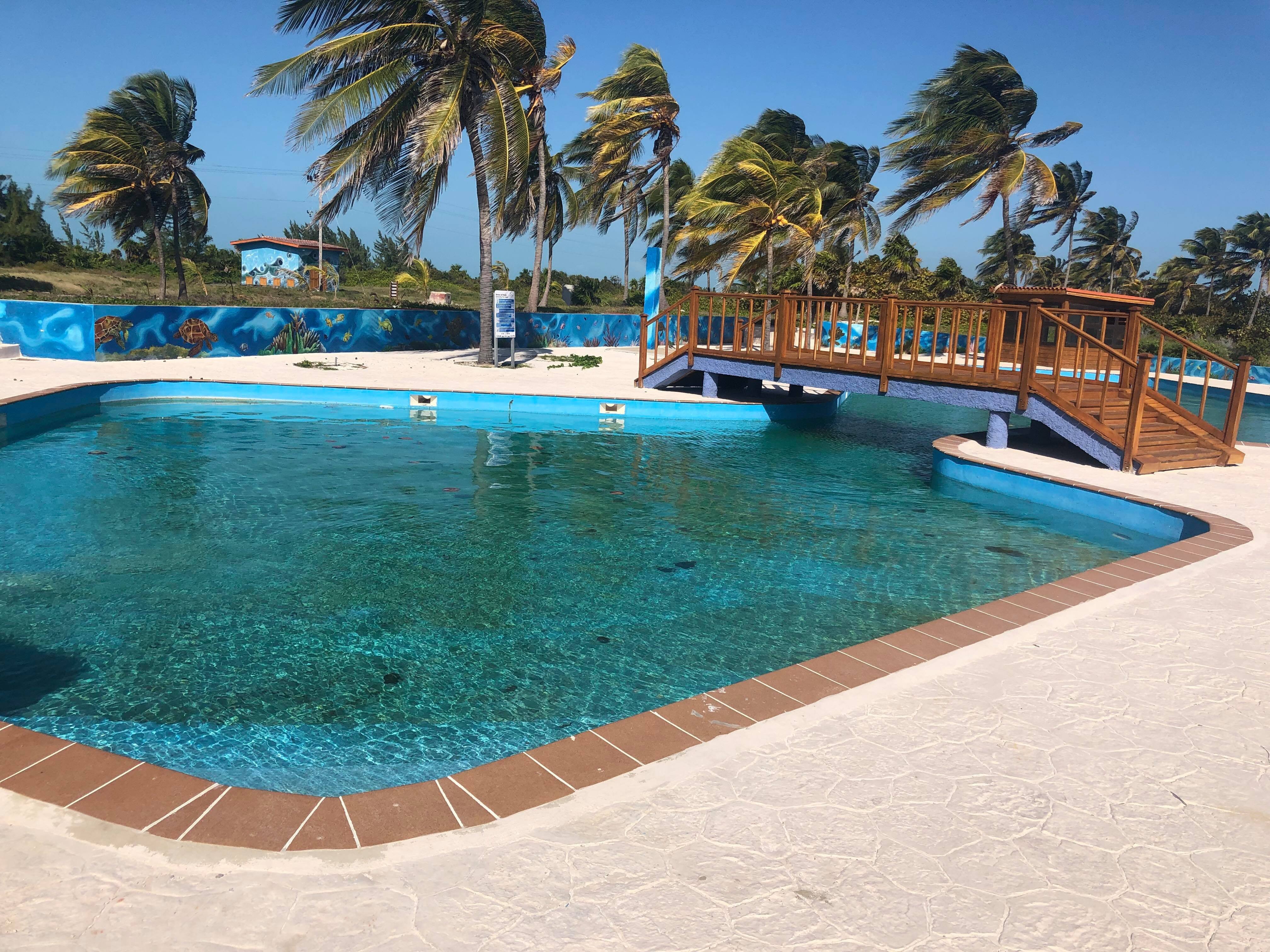 Villa Iguana-泳池